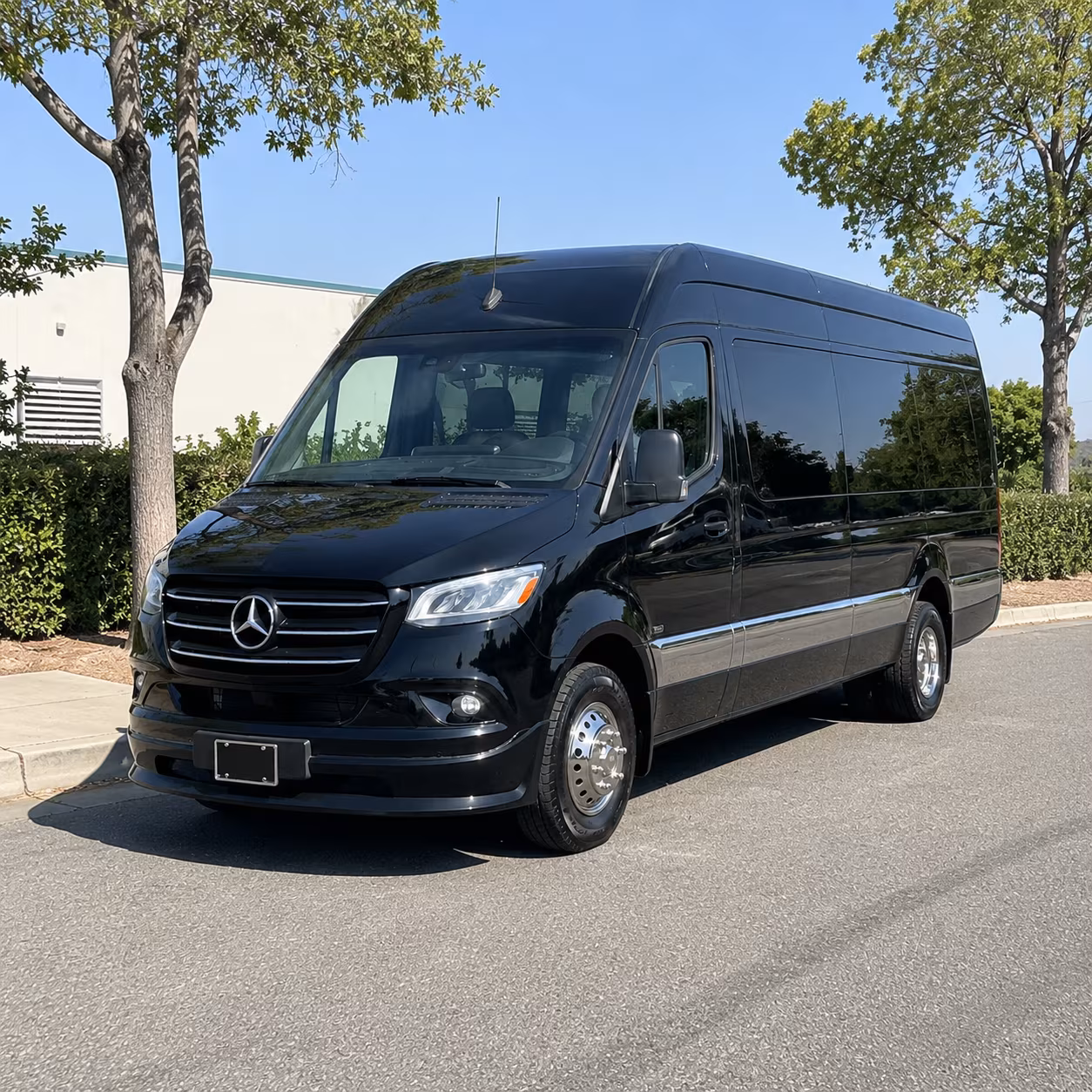 boston sprinter van with driver